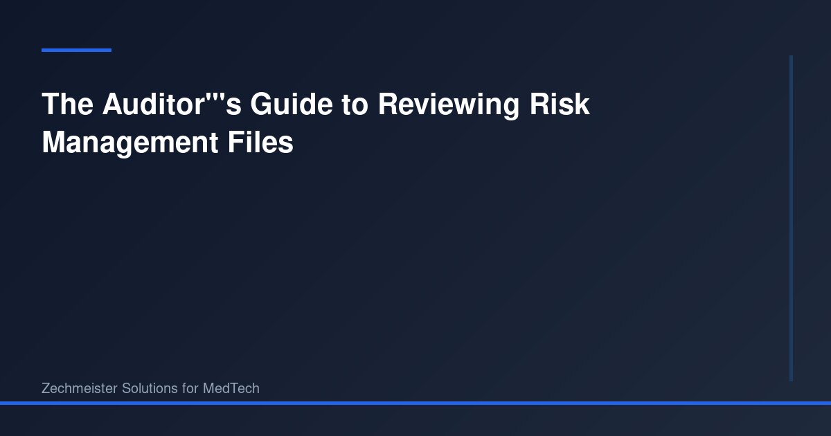 At Risk Files The Auditor's Guide to Reviewing Risk Management Files